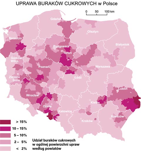 uprawa burakwc cukrowych w polsce mapa