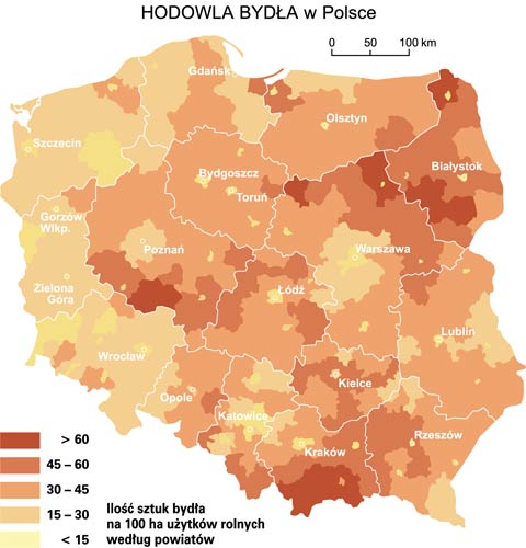 hodowla byda w polsce mapa