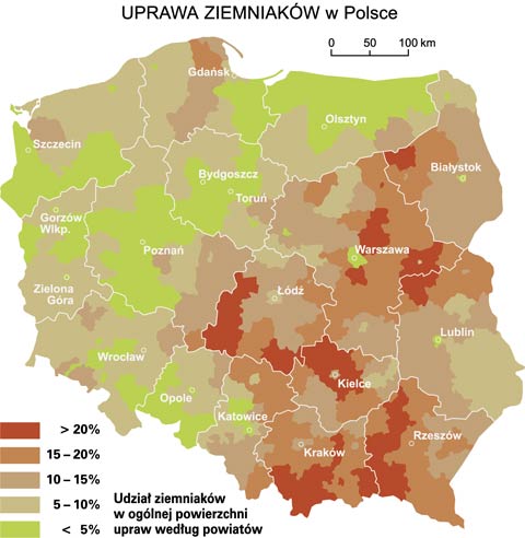 uprawa ziemniakw w polsce mapa