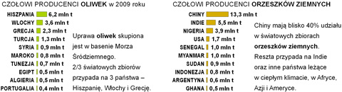 uprawa zbiory oliwek orzeszkw ziemnych na wiecie wykres pastwa