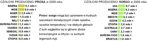 zbiory prosa sorgo na wiecie wykres pastwa