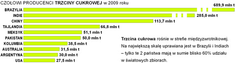 zbiory trzciny cukrowej na wiecie wykres pastwa