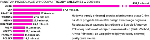 hodowla trzody chlewnej na wiecie wykres pastwa