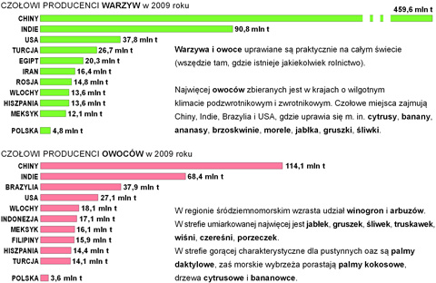 uprawa zbiory warzyw owocw na wiecie wykres pastwa