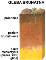 kliknij aby powikszy