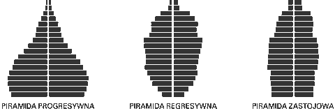 piramidy wieku progresywna regresywna zastojowa