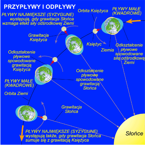 Przypywy i odpywy