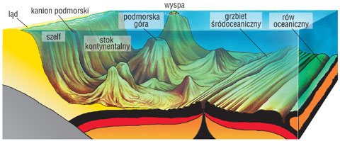 rzeba dna morskiego