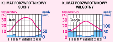 strefa podzwrotnikowa – wykres