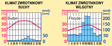 strefa zwrotnikowa – wykresy