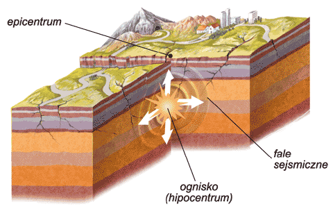 trzsienie ziemi